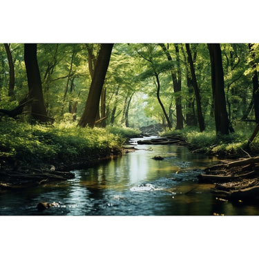Tableau Rivière Foret